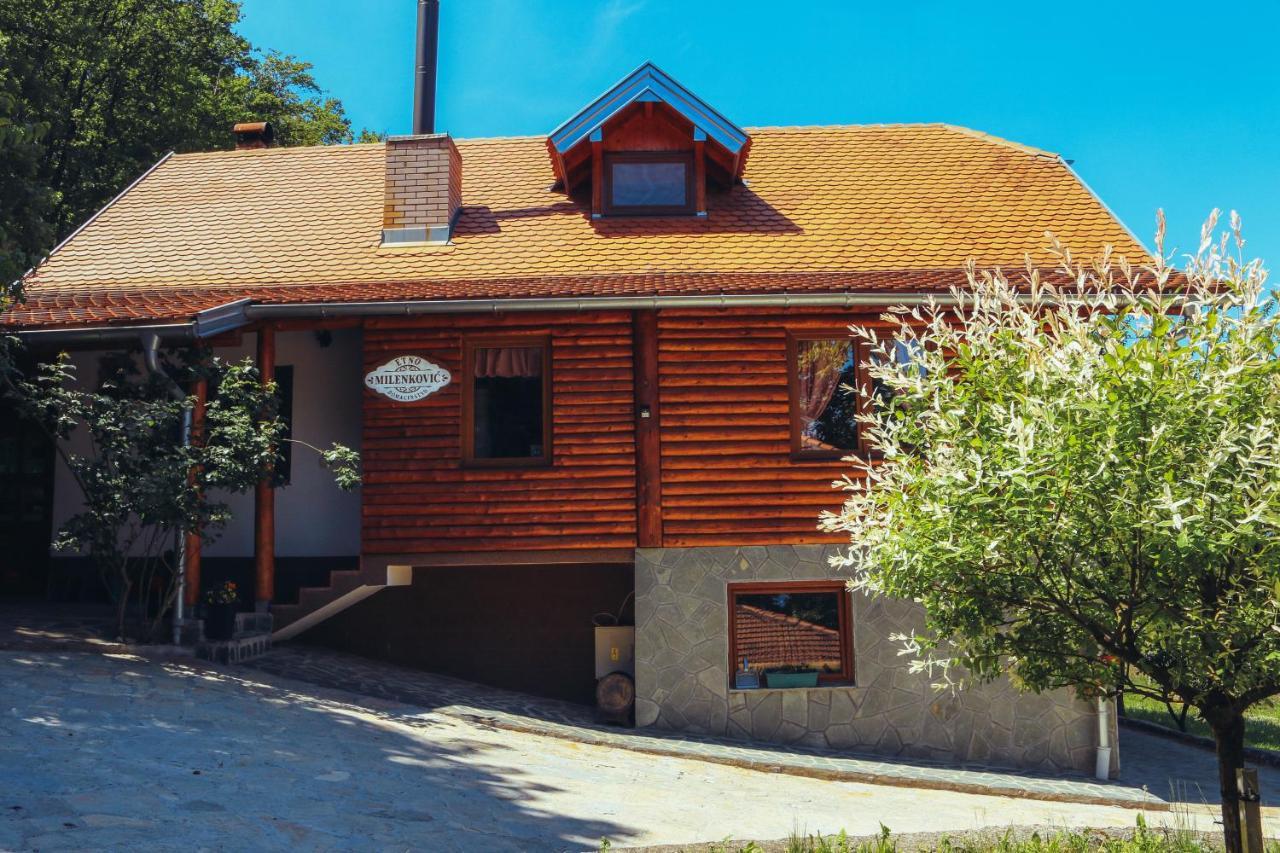 Etno Domacinstvo Milenkovic Villa Despotovac Exterior photo