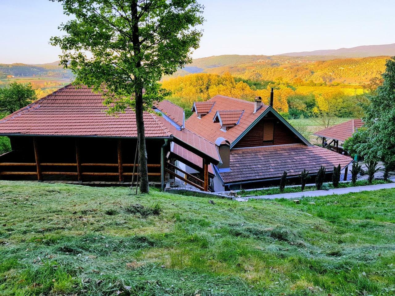 Etno Domacinstvo Milenkovic Villa Despotovac Exterior photo